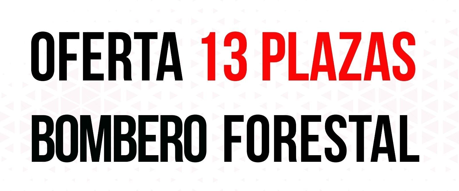 Ofertadas 13 plazas de bombero forestal 